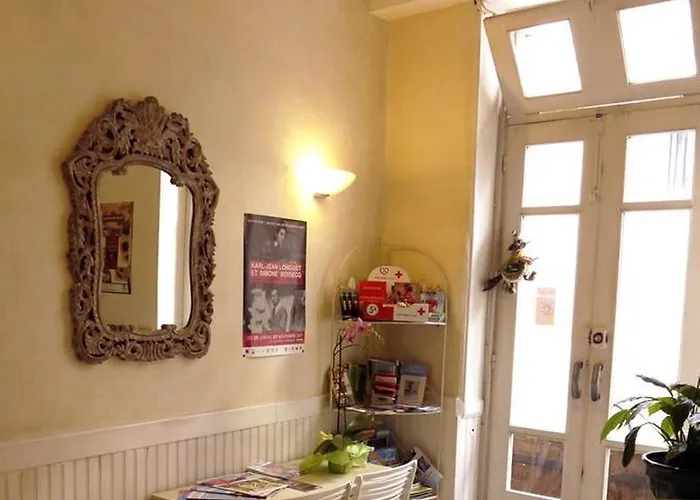 Hotel Des Ambans Agen